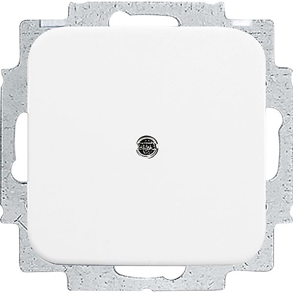 Busch-Jaeger Blindzentralscheibe aws mit Tragring 2538-214 - 2CKA001715A027 günstig online kaufen