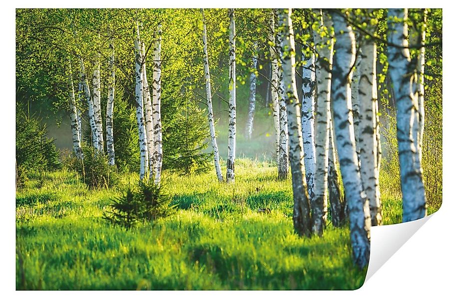 Wallarena Fototapete Wald Birkenwald Birken Sonne 3D EFFEKT Tapete Wohnzimm günstig online kaufen