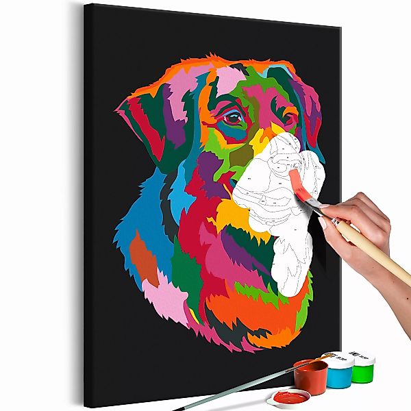 Malen Nach Zahlen - Colourful Dog günstig online kaufen