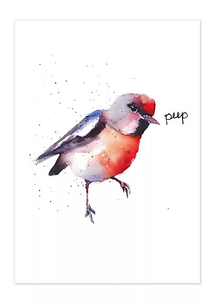 Poster Animal Bird Peep Matt günstig online kaufen