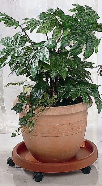 Ruco Blumentopfuntersetzer Kunststoff, Ø 34 cm günstig online kaufen