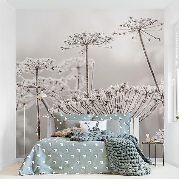 Bilderdepot24 Fototapete Blumen Doldenblüten Frost Blumentapete günstig online kaufen
