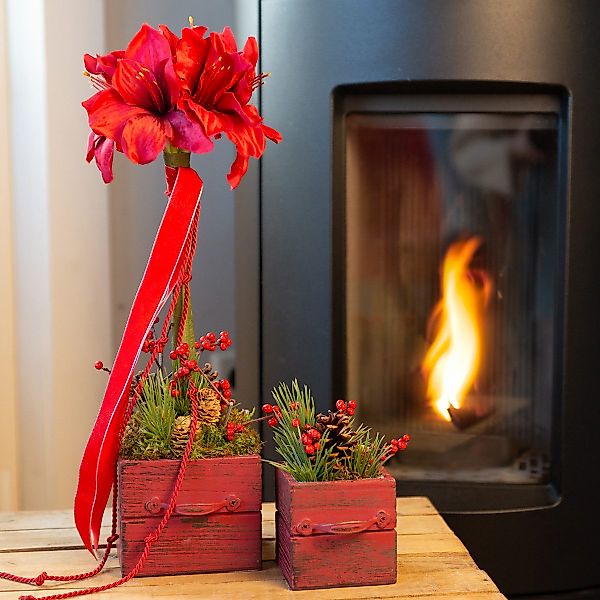 Winterliche Kunstpflanze Künstliche Amaryllis Rot Dekoblumen günstig online kaufen