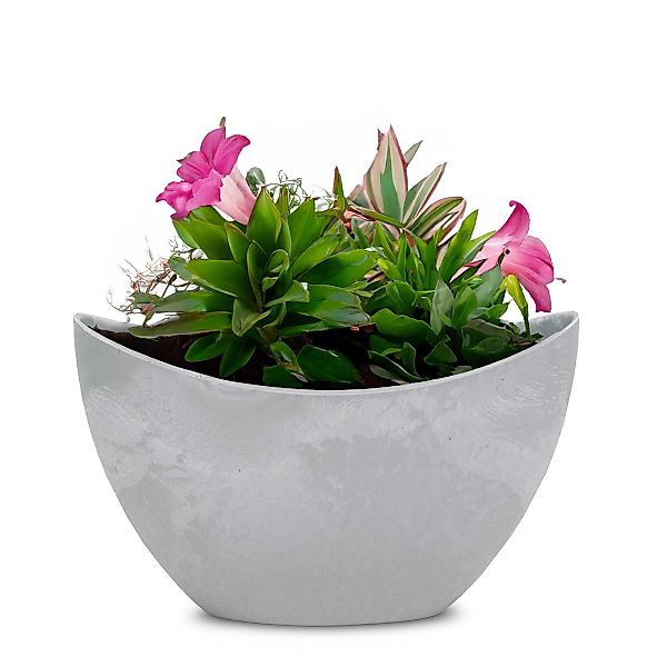 matches21 HOME & HOBBY Blumentopf Pflanzschale günstig online kaufen