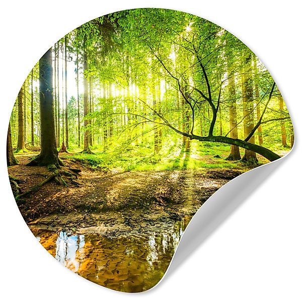 MuchoWow Wandsticker Wald - Landschaft - günstig online kaufen
