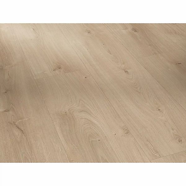 Parador Basic 600 Laminat 8 mm Wasserfest Eiche Avant Geschliffen günstig online kaufen