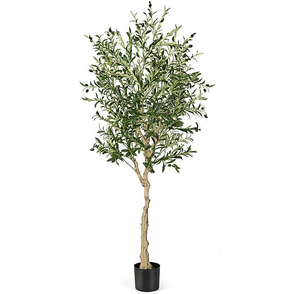 Kunstpflanze Olivenbaum, KOMFOTTEU, Höhe 182 cm, günstig online kaufen