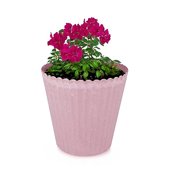 matches21 HOME & HOBBY Blumentopf Blumen-Topf günstig online kaufen
