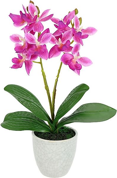 Kunstorchidee Künstliche Orchidee mit Topf, I.GE.A., Höhe 30 cm, Dekoblume günstig online kaufen