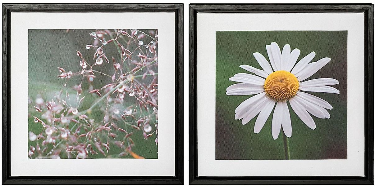 Creativ home Bild mit Rahmen "Blüte und Tau", (2 St.), auf Canvas-Leinwand günstig online kaufen
