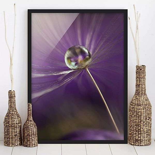 Bild mit Rahmen - Hochformat Pusteblume in Violett günstig online kaufen