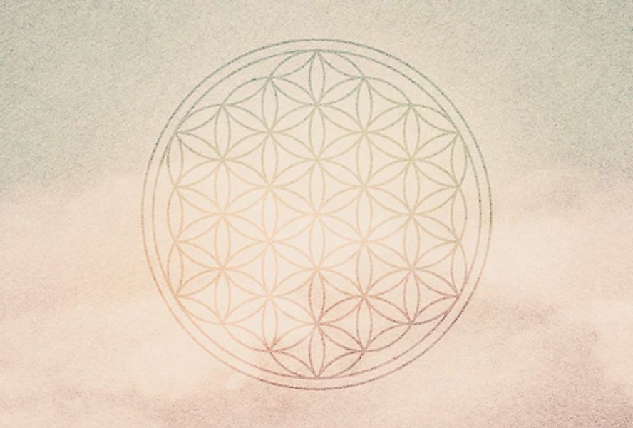 Architects Paper Fototapete »Atelier 47 Flower of Life 2« orientalisch glat günstig online kaufen