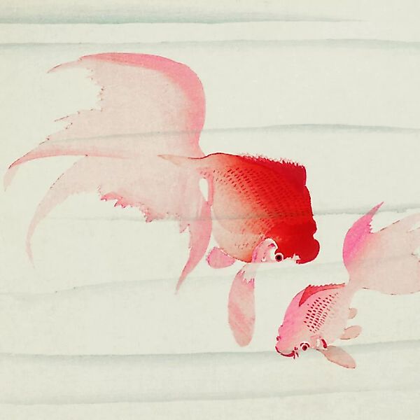 Poster / Leinwandbild - Goldfische Von Ohara Koson günstig online kaufen