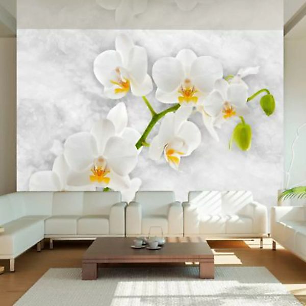 artgeist Fototapete Lyrical orchid - White mehrfarbig Gr. 150 x 105 günstig online kaufen