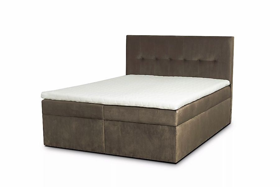 ROPEZ | Boxspringbett Nice Samt 200 x 200 cm günstig online kaufen