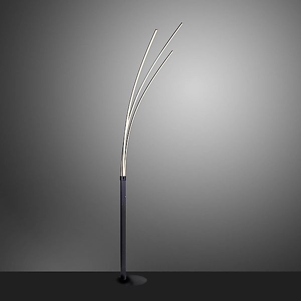 JUST LIGHT Stehlampe MAJA, LED fest günstig online kaufen