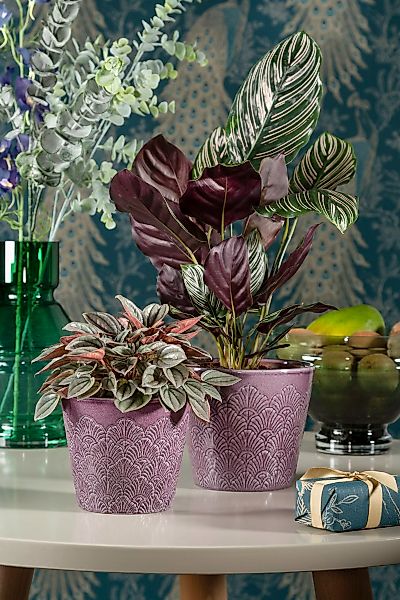 Scheurich Blumentopf "711/18 vintage violet" günstig online kaufen