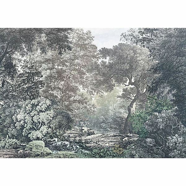 Komar Fototapete »Digitaldruck Vlies - Fairytale Forest - Größe 400 x 280 c günstig online kaufen