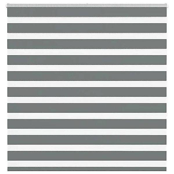 vidaXL Doppelrollo Dunkelgrau 150x150 cm Stoffbreite 145,9 cm Polyester 401 günstig online kaufen