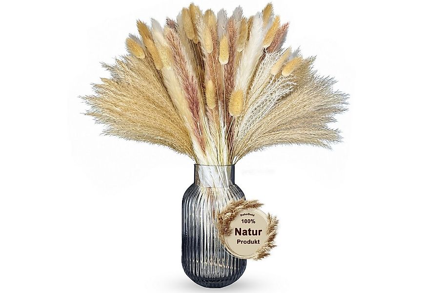 Trockenblume Trockenblumenstrauß Pampasgras, Nina-Maria's Deko Gold, 1 Stra günstig online kaufen