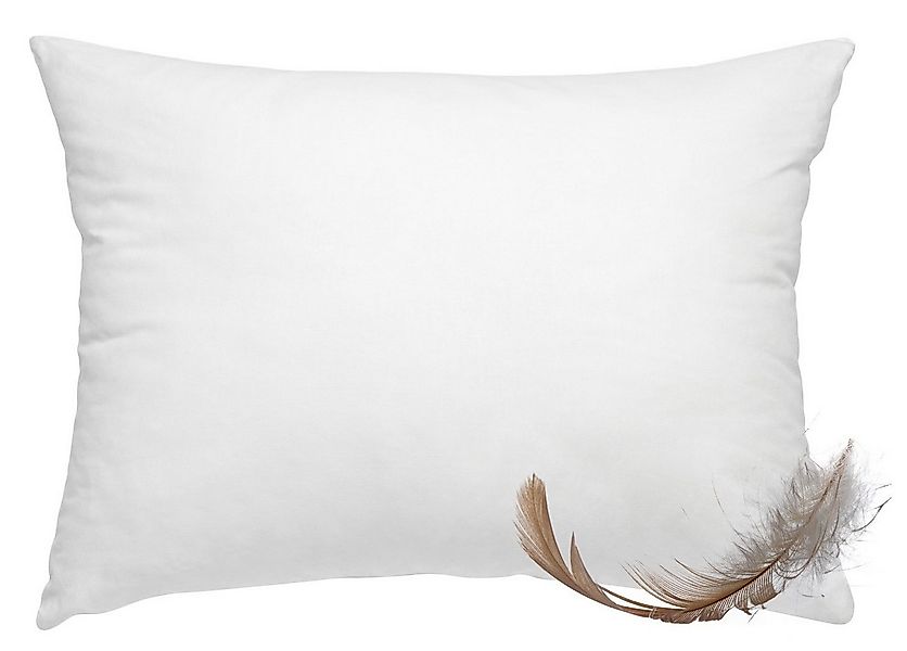 wometo Federkissen Home, in über 10 Größen, Füllung: Federn, Bezug: Baumwol günstig online kaufen