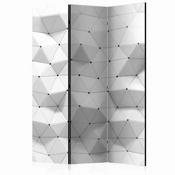 artgeist Paravent Amazing Symmetry  [Room Dividers] grau Gr. 135 x 172 günstig online kaufen