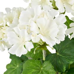 Creativ green Kunstpflanze "Geranie" in UV-beständiger Ausführung günstig online kaufen