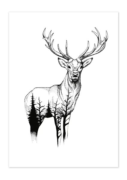 Poster Animal Wild Life Deer Matt günstig online kaufen