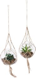 Creativ green Kunstpflanze "Sukkulenten" mit Makramee-Aufhängung günstig online kaufen