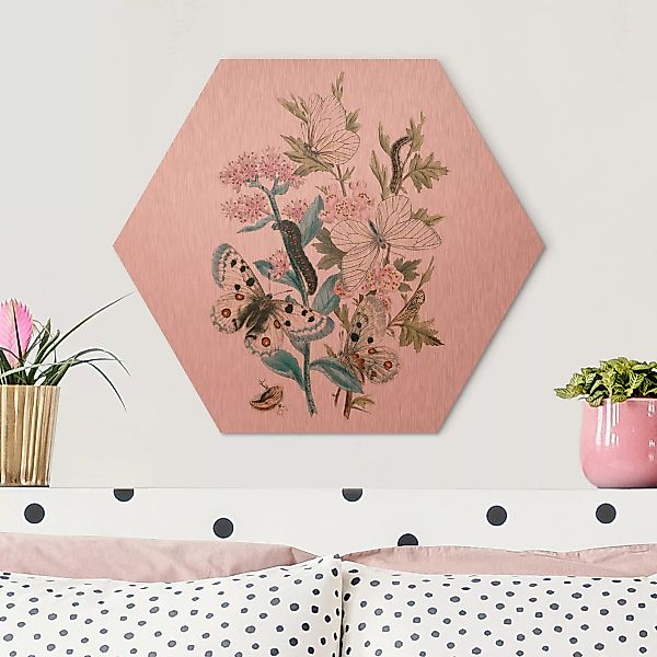 Hexagon-Alu-Dibond Bild Blumen Britische Schmetterlinge I günstig online kaufen