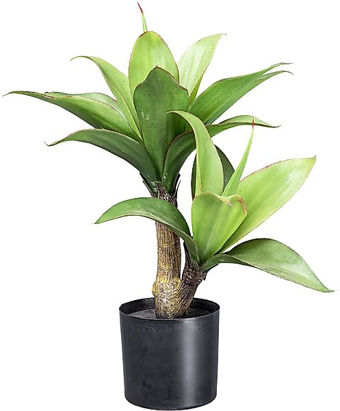 Kunstpflanze Agave Agave, Creativ green, Höhe günstig online kaufen