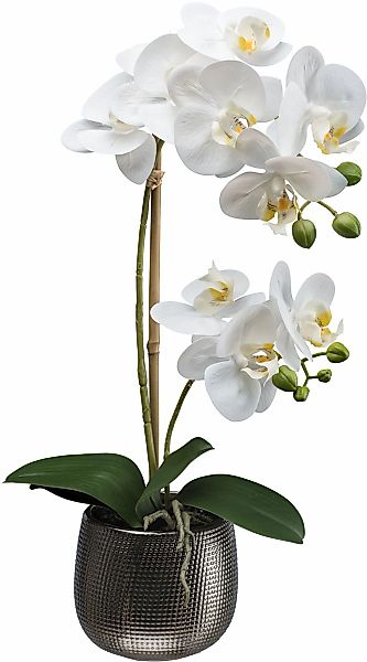 Creativ green Kunstorchidee "Orchidee Phalaenopsis", mit real-touch-Blüten günstig online kaufen