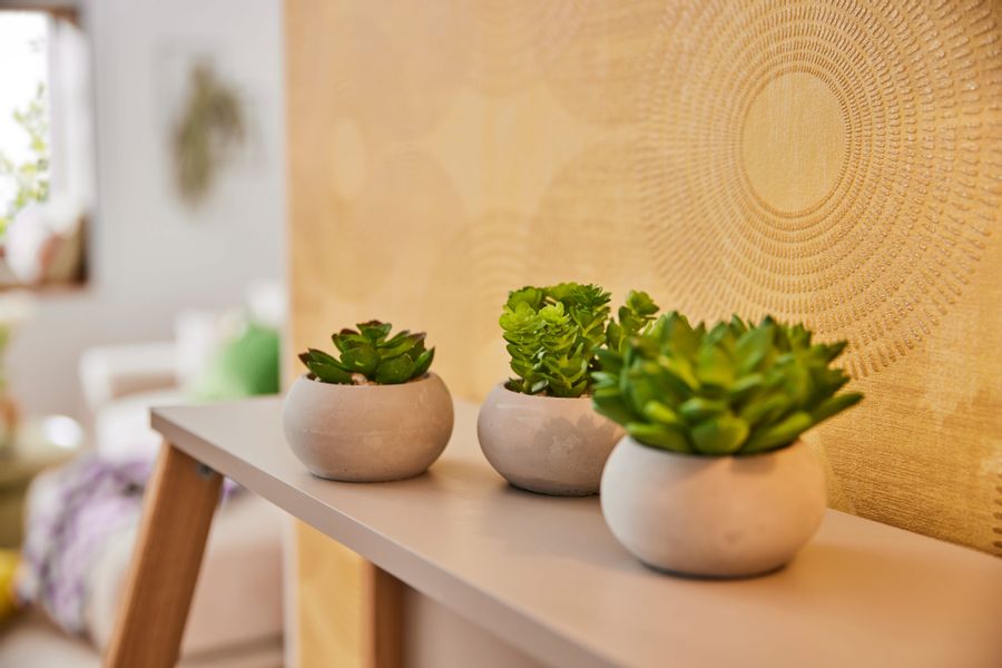 Kunstpflanze Sukkulenten, Creativ green günstig online kaufen