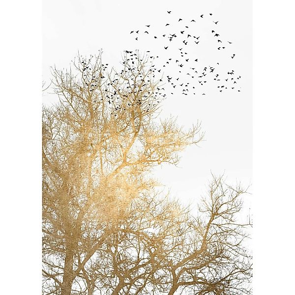 Fototapete Bäume Vögel Weiß Gold Schwarz 2,00 m x 2,80 m FSC® günstig online kaufen
