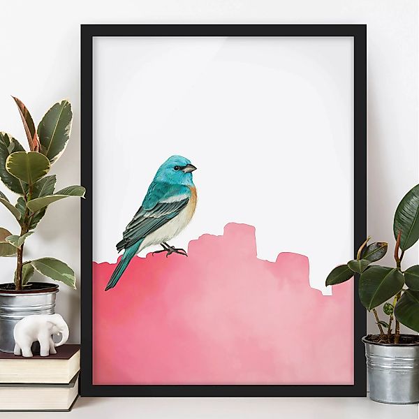 Bild mit Rahmen Vogel auf Pink günstig online kaufen
