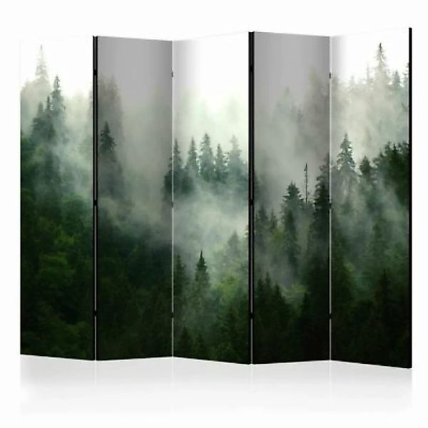 artgeist Paravent Coniferous Forest II [Room Dividers] grau/grün Gr. 225 x günstig online kaufen