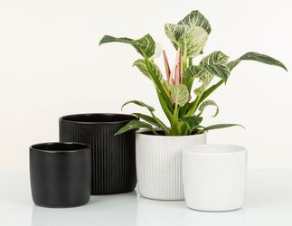 Scheurich Blumentopf 909/24 ebano günstig online kaufen