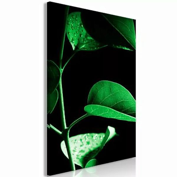 artgeist Wandbild Plant in Black (1 Part) Vertical schwarz/grün Gr. 40 x 60 günstig online kaufen