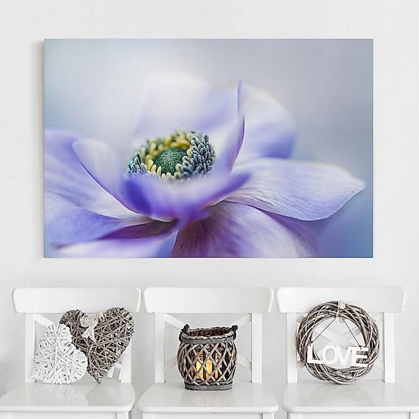 Leinwandbild - Querformat Anemone De Caen günstig online kaufen