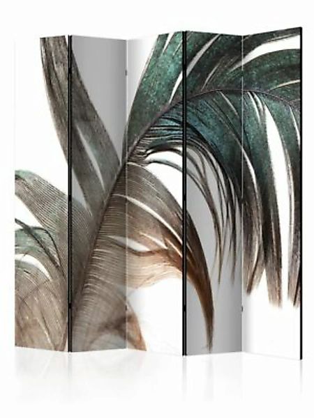 artgeist Paravent Beautiful Feather II [Room Dividers] braun-kombi Gr. 225 günstig online kaufen