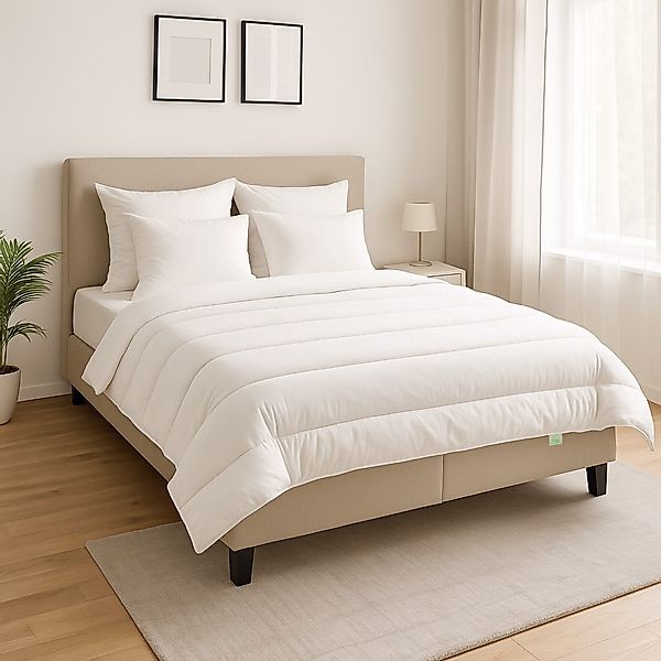 Dreamstar Microfaserbettdecke + Kopfkissen Eco, Bettdecke günstig online kaufen