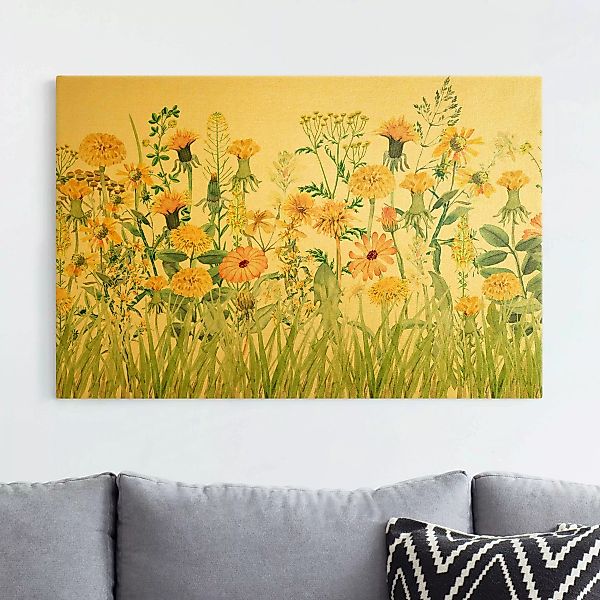 Leinwandbild Aquarellierte Blumenwiese in Gelb günstig online kaufen