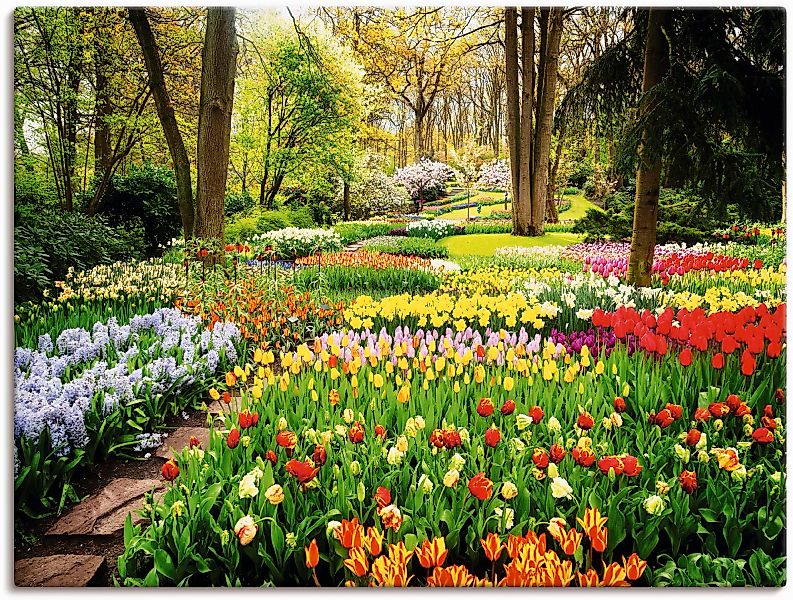Artland Wandbild »Tulpen Garten Frühling«, Blumenwiese, (1 St.), als Alubil günstig online kaufen