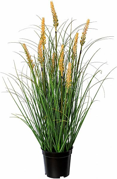Kunstgras Grasbusch Pennisetum Gras, Creativ green, günstig online kaufen