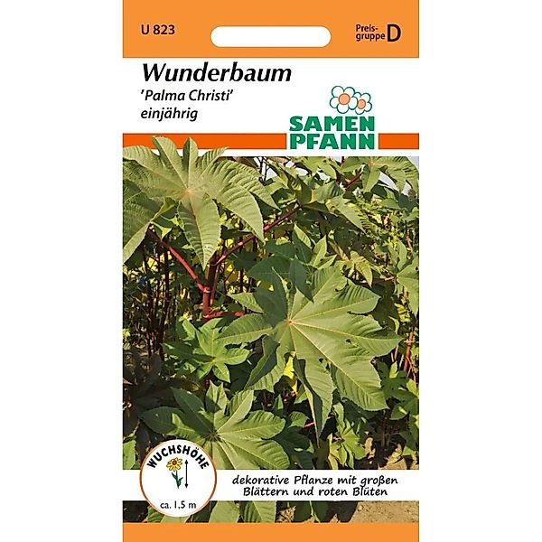 SAMEN PFANN Wunderbaum Ricinus Palma Christi günstig online kaufen
