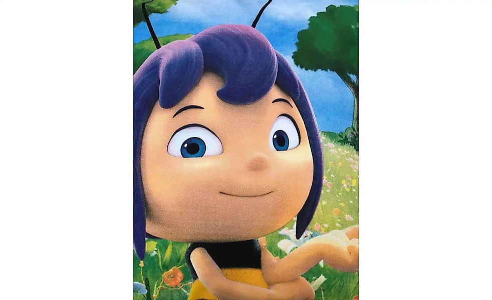 Die Biene Maja Kinderbettwäsche "Biene Maja" 2 Stk. tlg. mit Willi günstig online kaufen