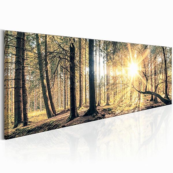 Wandbild - Autumn Retreat günstig online kaufen