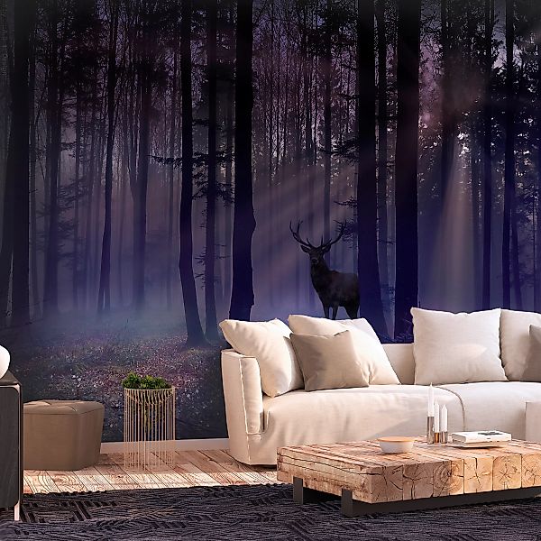 artgeist Fototapete Mystical Forest - Second Variant mehrfarbig Gr. 400 x 2 günstig online kaufen