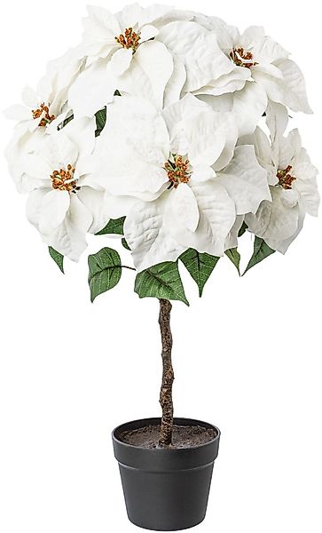 Winterliche Kunstpflanze Weihnachtsdeko Weihnachtsstern, Creativ deco, günstig online kaufen