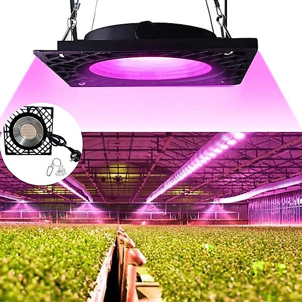 Jibenhome Pflanzenlampe LED Grow Lampe, 50W günstig online kaufen